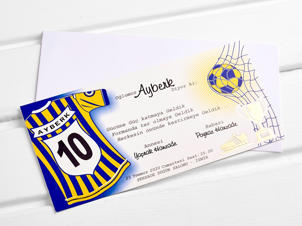 Aras 4931 0